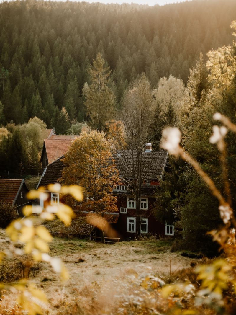 Harzverbunden der Harz